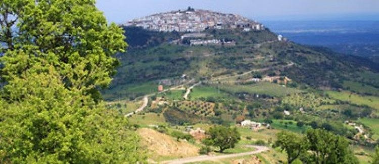 Italia a descoperit un zăcământ gigant de petrol sub plantaţiile de măslini!